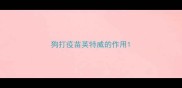 狗打疫苗英特威的作用