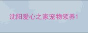 沈阳爱心之家宠物领养