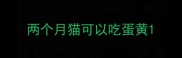 两个月猫可以吃蛋黄