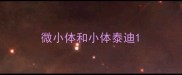 微小体和小体泰迪