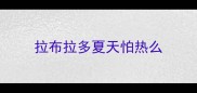 拉布拉多夏天怕热么