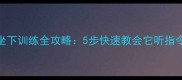 拉布拉多坐下训练全攻略5步快速教会它听指令新手必看