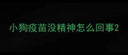 小狗疫苗没精神怎么回事