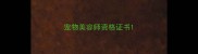 宠物美容师资格证书