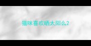 猫咪喜欢晒太阳么