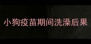 小狗疫苗期间洗澡后果