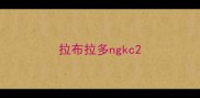拉布拉多ngkc