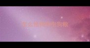 怎么给狗狗泡狗粮