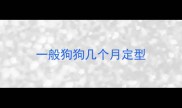 一般狗狗几个月定型