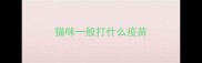 猫咪一般打什么疫苗