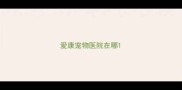 爱康宠物医院在哪