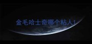 金毛哈士奇哪个粘人