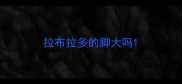 拉布拉多的脚大吗