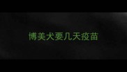 博美犬要几天疫苗
