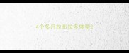 4个多月拉布拉多体型