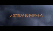 大家都给边牧吃什么