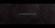怎么挑选金毛幼犬品相