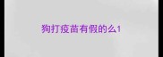 狗打疫苗有假的么