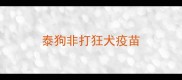 泰狗非打狂犬疫苗