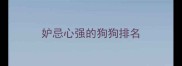 妒忌心强的狗狗排名