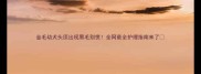金毛幼犬头顶出现黑毛别慌全网最全护理指南来了
