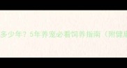 哈士奇寿命多少年5年养宠必看饲养指南附健康对照表