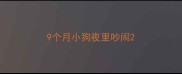 9个月小狗夜里吵闹