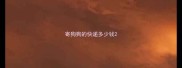 寄狗狗的快递多少钱