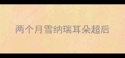 两个月雪纳瑞耳朵超后