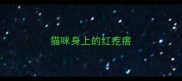 猫咪身上的红疙瘩