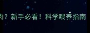 狗狗多大能吃肉新手必看科学喂养指南附分龄喂养表