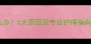狗狗总舔爪子怎么办5大原因及专业护理指南附解决方案