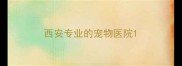 西安专业的宠物医院