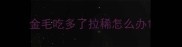 金毛吃多了拉稀怎么办