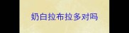 奶白拉布拉多对吗