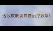 边牧皮肤病最佳治疗方法