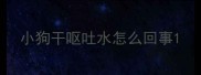 小狗干呕吐水怎么回事