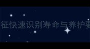 哈士奇年纪判断全攻略5大特征快速识别寿命与养护要点附不同年龄段养护指南