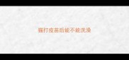 猫打疫苗后能不能洗澡