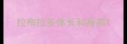 拉布拉多体长和身高