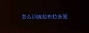 怎么训练拉布拉多笼