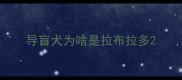 导盲犬为啥是拉布拉多