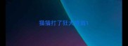 猫猫打了狂犬疫苗
