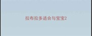 拉布拉多适合与宝宝