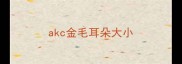 akc金毛耳朵大小