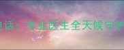 北京24小时宠物急诊电话专业医生全天候守护宠物急救服务指南