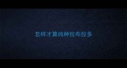 怎样才算纯种拉布拉多