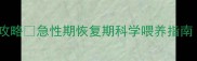 猫咪生病喂食全攻略急性期恢复期科学喂养指南附15种急救食谱