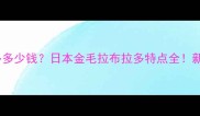 日本金毛拉布拉多多少钱日本金毛拉布拉多特点全新手必看养宠指南
