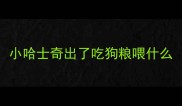 小哈士奇出了吃狗粮喂什么